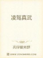 凌驾真武
