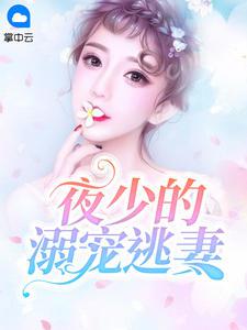 夜少的溺宠逃妻