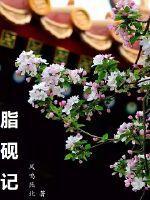 脂砚记