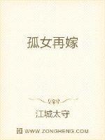 孤女再嫁