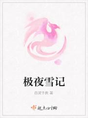极夜雪记