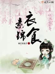 素衣锦食